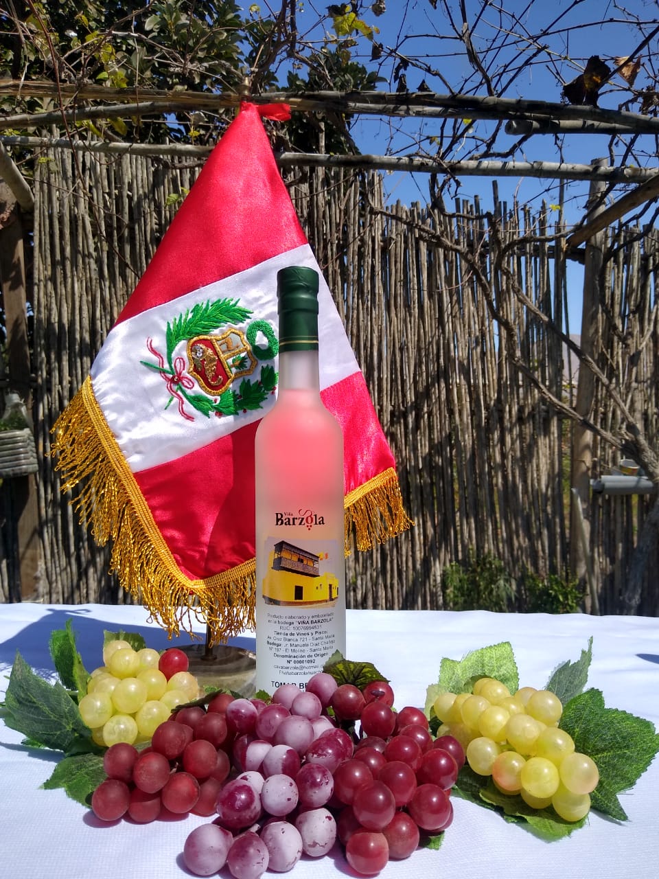 Pisco Puro Italia. Viña Barzola